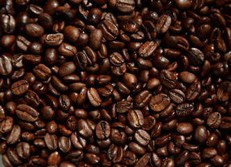 Coffee beans close-up