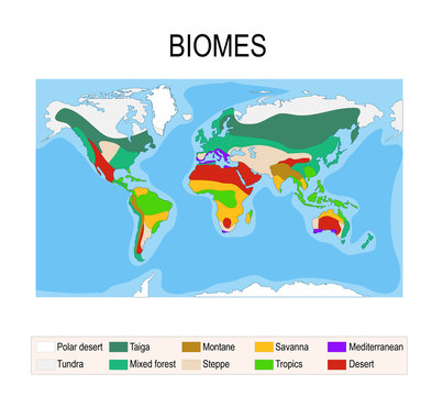 Biomes. Terrestrial ecosystem