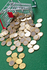 coins in the shopping basket