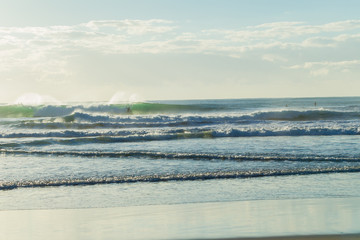 Beach Ocean Surfing Landscape