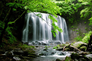 夏の達沢不動滝（猪苗代町）