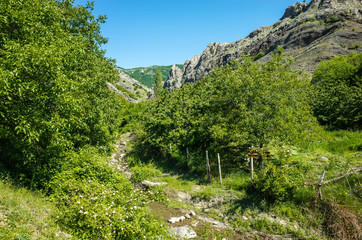 Mountain river in the lowlands of the mountains