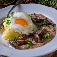 Forest mushroom sauce with fresh mushrooms, potato and poached egg