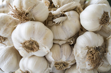 garlic background