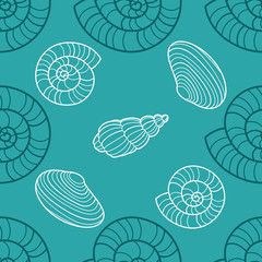 Vector texture of the shell. Seashell pattern