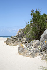 Fototapeta na wymiar Rostro Beach at Finisterre; Costa de la Muerte; Galicia