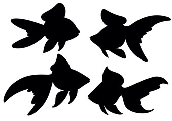 Vector drawing silhouette of a goldfish