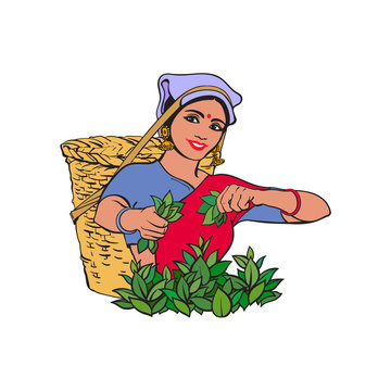 vector sketch cartoon indian Sri-lanka local woman collecting tea in tradition way smiling in big wicker basket. Traditionally dressed female character, hand drawn sri-lanka , india symbols