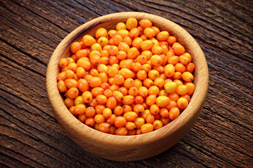 Sea-buckthorn