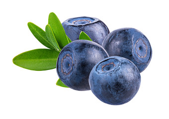 Fresh blueberry with leaf isolated on white background