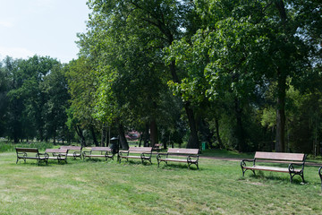Composition of park benches in a green garden