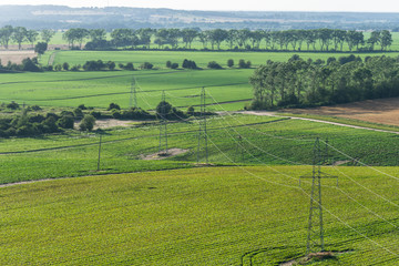 Power pole in the middle of agricultural fields