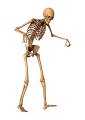 3D Rendering Human Skeleton on White