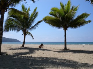 Horse on a beach in Puerto Lopez Equador