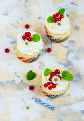 Gentle cupcake with cream and berries аnd a candle a light background