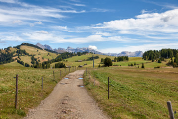 Dirt road crosses pastures in the background of the Dolomite Mountains