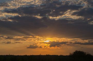 Fototapeta premium Jaskrawy ciemny i żółty chmurny niebo przy zmierzchem lub wschodem słońca