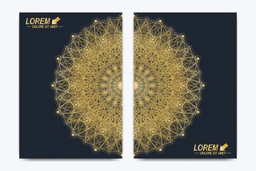 Modern vector template for brochure, Leaflet, flyer, cover, magazine or annual report. A4 size. Business, science, medicine and technology design book layout. Abstract presentation with golden mandala