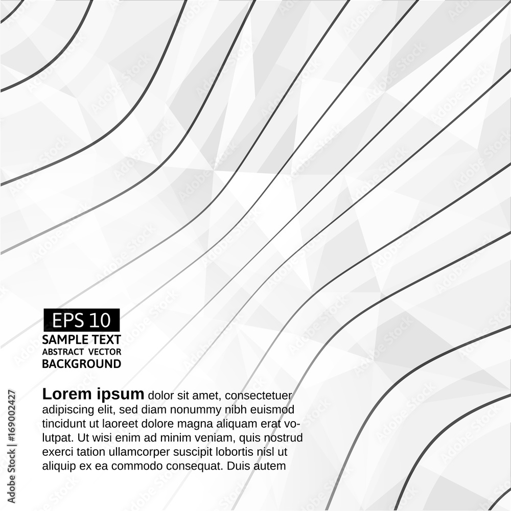 Poster white polygon and black lines abstract vector background
