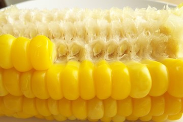 食べかけのゆでたトウモロコシ