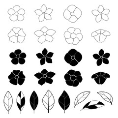 Flower icon set on white background