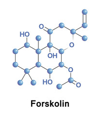 Forskolin is a labdane diterpene that is produced by the Indian Coleus plant 