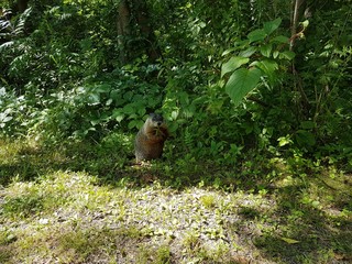 Rencontre à Quebec