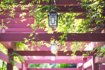 Lantern hanging on a pathway with vegetation in a park, Chengdu, China