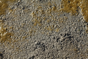 Schlick in einem Fluss bei Ebbe