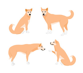 Set of cute dogs. Vecter illustration isolated on white background. Dog icons collection for cynology, pet clinic and pet shop.