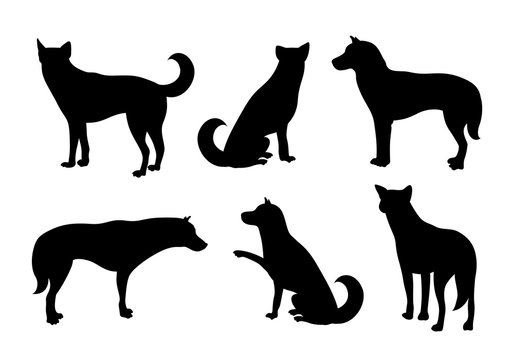 Set of dogs silhouette. Vecter illustration isolated on white background. Dog icons collection for cynology, pet clinic and pet shop.