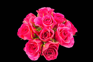 Ten Pink Roses in a Bunch Rain Soaked