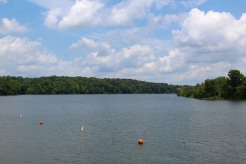 Fototapeta na wymiar The lake on a white clouds and blue sky day.