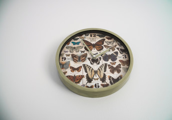 colorful butterfly clock on white wall