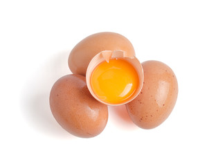 egg isolate