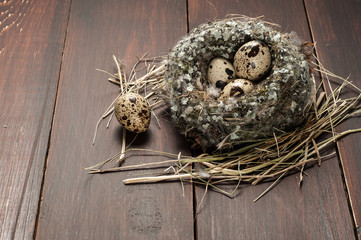 quail eggs in a nest over old wooden background