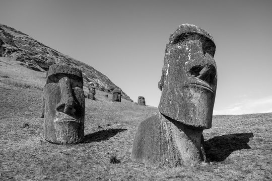 Moais statues on Rano Raraku volcano, easter island. Black and white picture