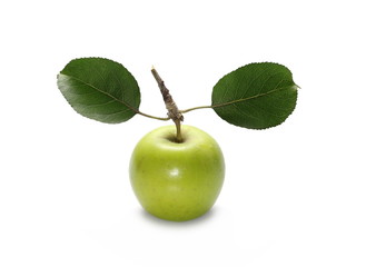 Organic apple isolated on white background