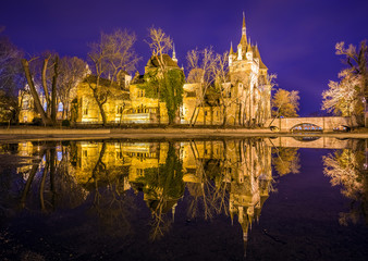 Budapest, Hungary - The beautiful Vajdahunyad Castle with reflection in the City Park of Budapest at blue hour