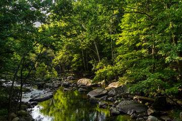 Calm waters at Glade Creek in southern West Virginia, with green trees, large stones and a reflection.