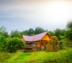 small wooden house among a green fields