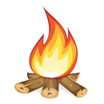 Burning Bonfire With Wood