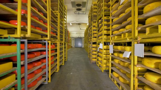 Yellow and orange cheese wheels on double-sided racks at a warehouse. 4K.