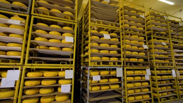 Almost completely full storage racks of cheese wheels.