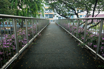 Pedestrian Overpass Walkway With Pink Flowers and Steel Handrails - Singapore
