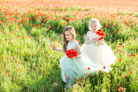 little girl model, childhood, fashion, wedding, spring, summer concept - two young girls bridesmaids walking on flowered field, with hands full of poppy flowers,