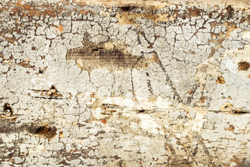 Obraz premium Brown grungy wall Sandstone surface background
