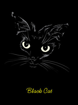 Vector sketch. Black cute kitty on a black background.