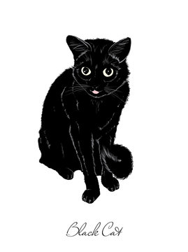 Vector sketch. Black cute cat on a white background.