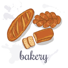 Hand drawn decorative bread bakery . Vector Illustration.
